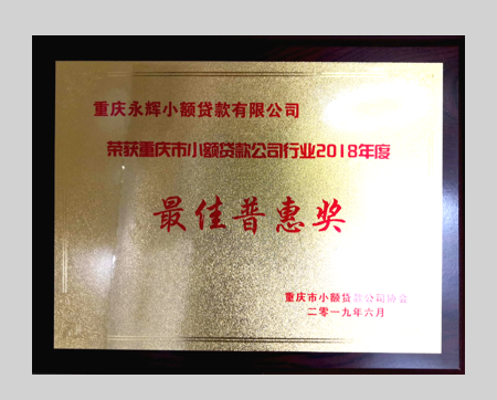 最佳普惠奖