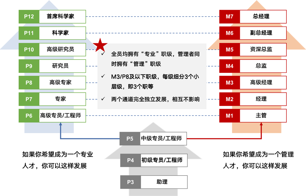 双通道成长路径